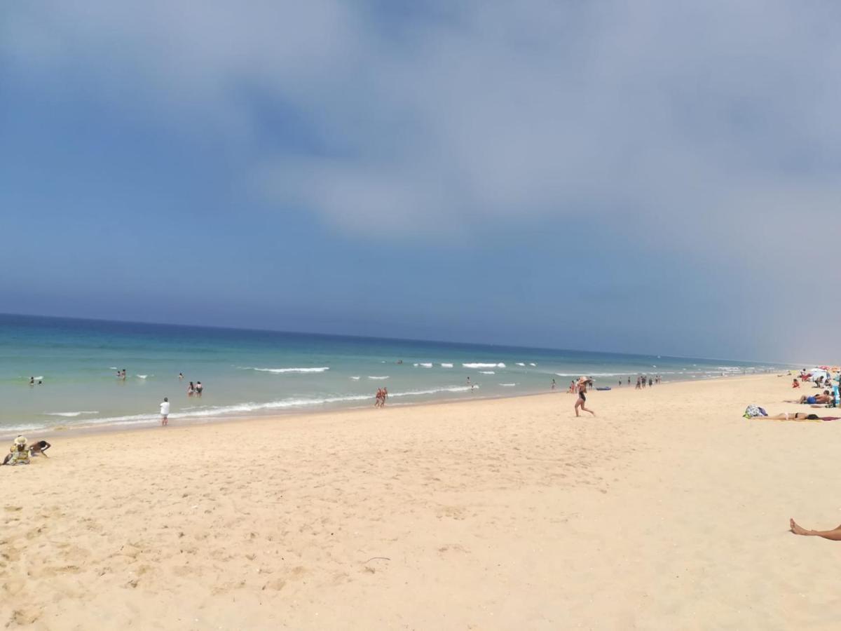 Ferienwohnung Venancio Alojamento Alcácer do Sal Exterior foto